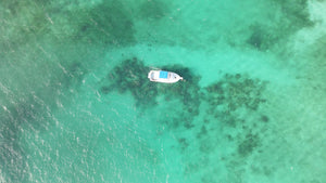 Boat in Sea Satellite